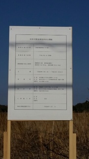 15203409162660.jpg