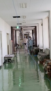 15338268645560.jpg