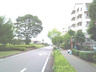 クリーンディ.jpg