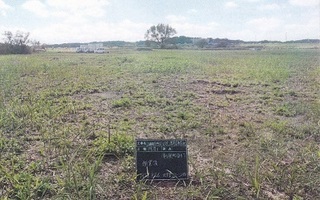 花火打ち上げ現場 2.jpg