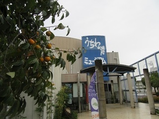 MRF-001.jpg